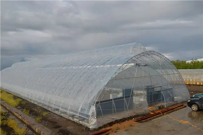 Agricultural plastic greenhouse